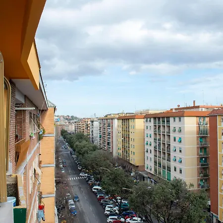 Lev * Roma